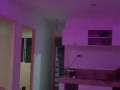 in-the-mood-for-pink-reflective-ceiling-lights