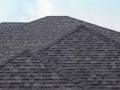 elegant dark greyish