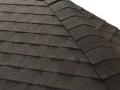 roof looks alive