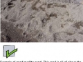 Good-quality-sand