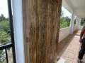 solid-wood-main-door