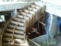 IMAG0205
