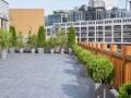 roof park