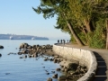 Seawall