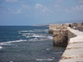 the-sea-wall-looking-north