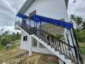 a-beautiful-house-in-the-middle-of-a-forest-is-a-termite-utopia
